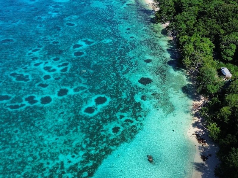 <p>Viaggio alle Seychelles</p>